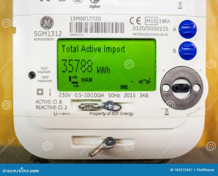Smart Electric Meter Smart Electric Meter